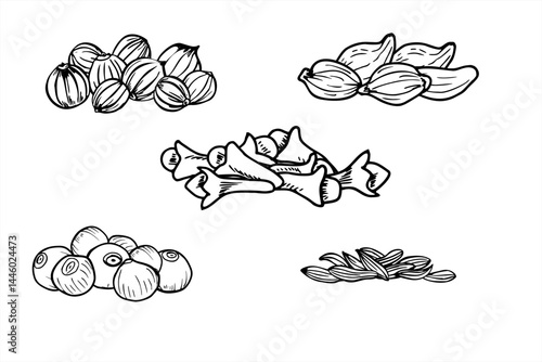 Monochrome aromatic dried spices and seasoning seed pile vector line art black ink sketch. Black pepper, clove buds, coriander, kernel and mustard graphic illustration. For cooking recipe, medicine