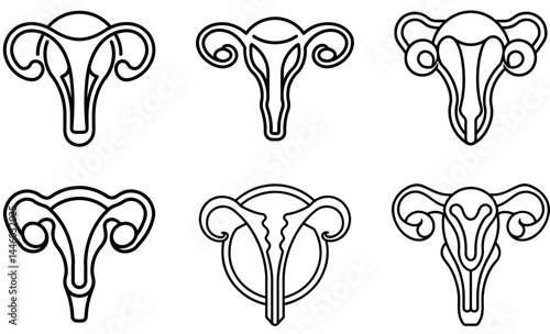 Different Female Reproductive System Diagrams
