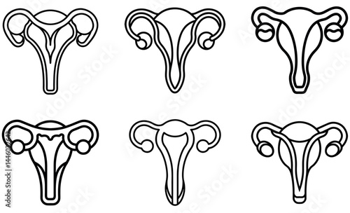 Different Female Reproductive System Diagrams