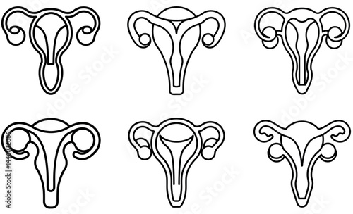 Different Female Reproductive System Diagrams