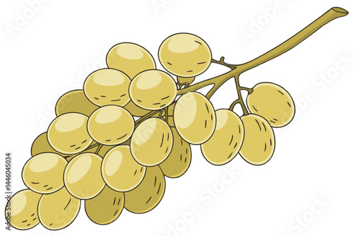 91 Photorealistic bunch of white grapes, translucent yellow color, juicy appearance, detailed grape skin texture, single grape stem, isolated on white background, studio lighting, high-resolution, mac