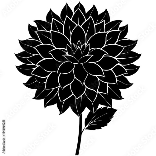 vector illustration of a flower