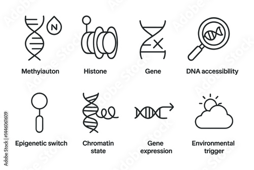 Genetics and dna linear icons set – outline style designs for biology, research, and education: dna strand, histone, gene, epigenetic switch, chromatin, environment.