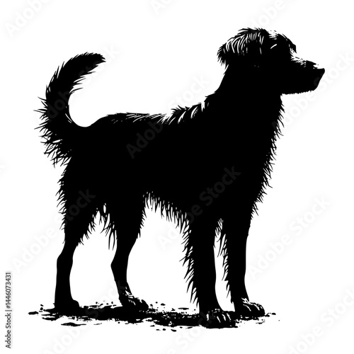 Silhouette of a dirty shaggy stray dog against a transparent background  