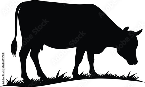 silhouette of a cow grazing in field on white 