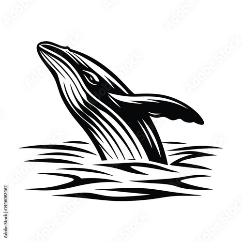 Humpback Whale Breaching, Water Splash, Marine Wildlife, Black and White Silhouette, Ocean