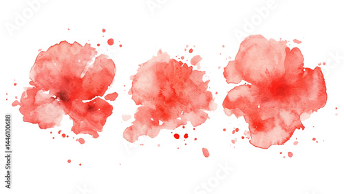 Splash brush red watercolor isolated on white background. Set of watercolor circles red, Colors watercolor paint stains vector backgrounds.