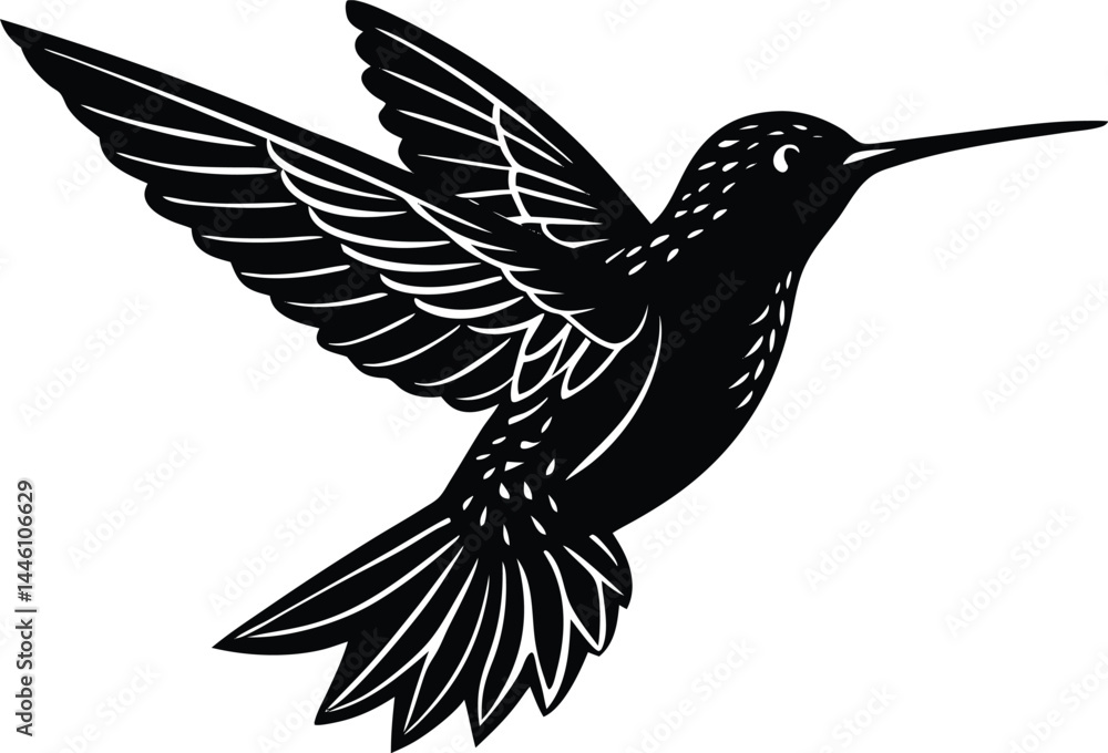 Obraz premium Hummingbird Silhouette