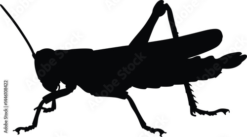 Grasshopper black silhouette vector illustration