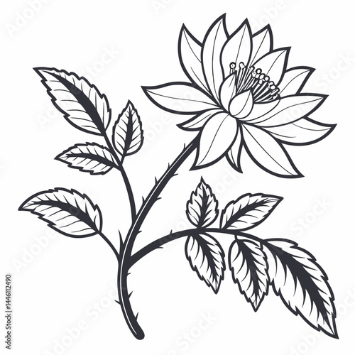 Wallpaper Mural black and white flower Torontodigital.ca