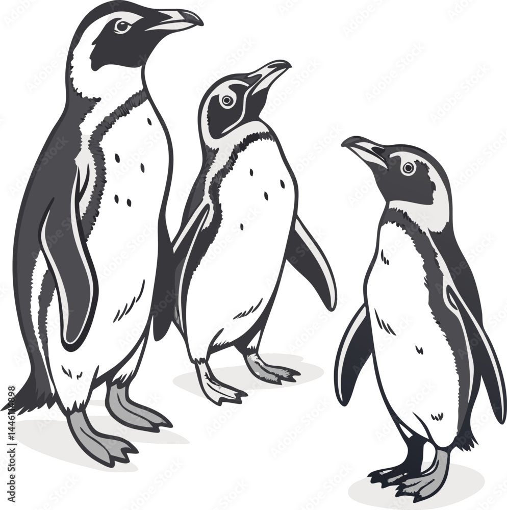 Obraz premium Three magellanic penguins standing on white patches illustration with transparency