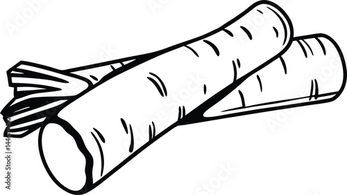 vector illustration of a megaphone