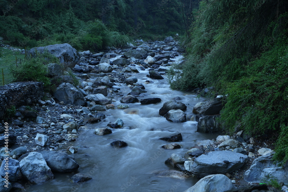 mountain river in the forest mountain river in the forest