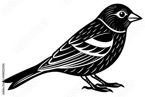 Cute Bird Vector Line Art Illustration – Clipart, Logo Icon, Black and White Bird Drawing