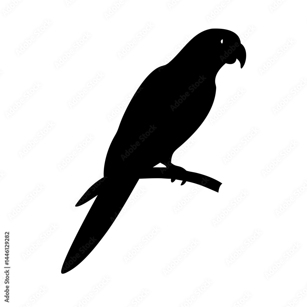 Fototapeta premium parrot perched silhouette image on transparent background for web and graphic design