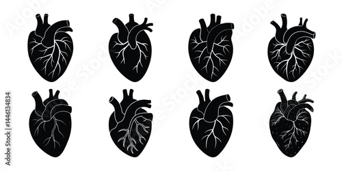 Anatomical heart vector silhouette icon set. heartbeat, medical, health, cardiology illustration, biology, human heart collection