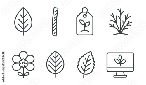 Line style icons of plant identification: leaf shape, stem texture, plant tag, growth habit, flower form, vein pattern, leaf margin, plant database.