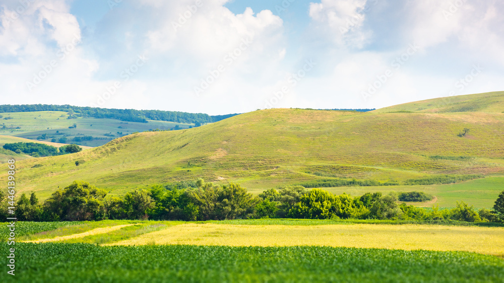 Fototapeta premium landscape with rural field. mountainous countryside of romania in summer. cloudy sky. picturesque highland