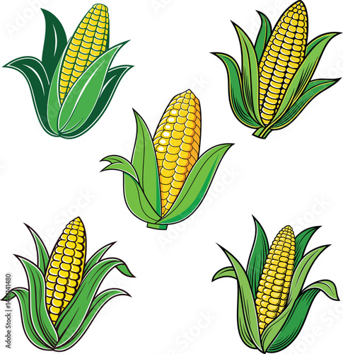 Vector illustration of fresh corn with cob, yellow grains, and green leaves, symbolizing agriculture and healthy food