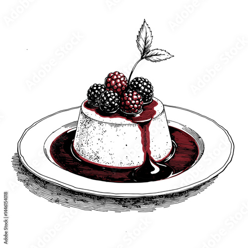 Vintage sketch of panna cotta drizzled with berry sauce, detailed culinary art display