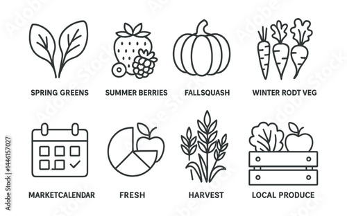 Line style icons of seasonal eating: spring greens, summer berries, fall squash, winter root veg, market calendar, fresh chart, harvest icon, local produce crate.