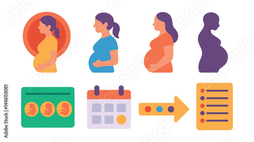 Flat vector icons of pregnancy stages: first trimester badge, second trimester icon, third trimester belly, growing baby bump silhouette, fetal development chart, due date calendar, trimester