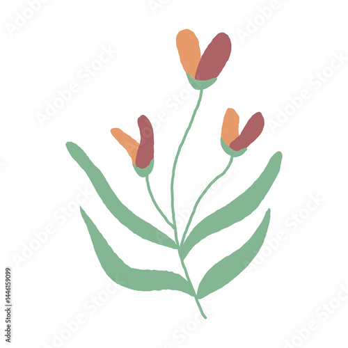Orange small wild flowers with freewheeling lines