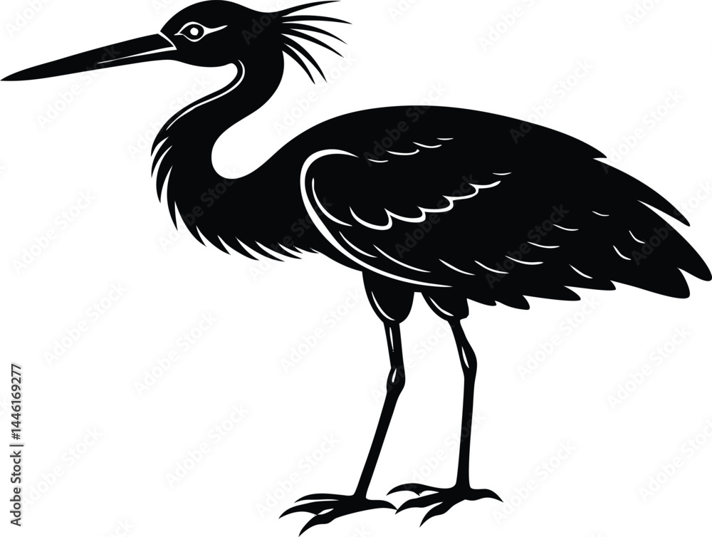 Fototapeta premium Stork Bird Silhouette