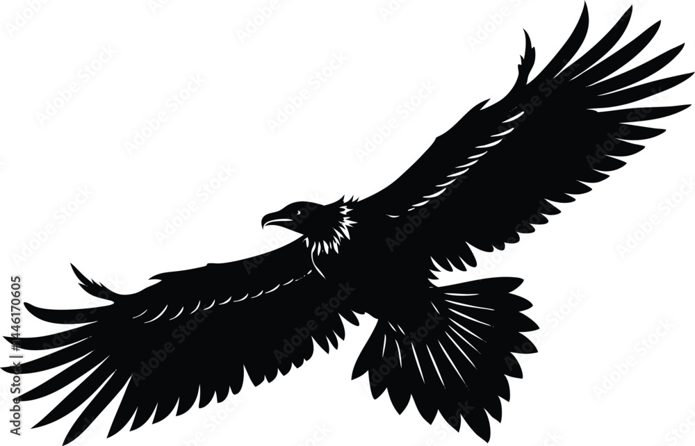 Obraz premium Vulture Silhouette Flying