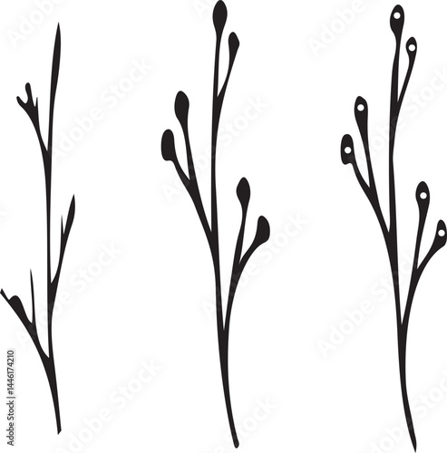Spring Awakening – Stem with Buds Vector