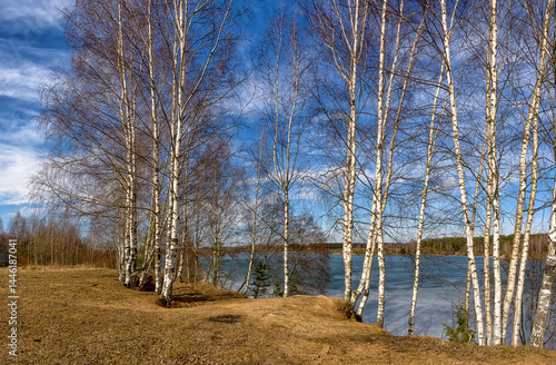 Sunny spring day on the shore of a quarry.