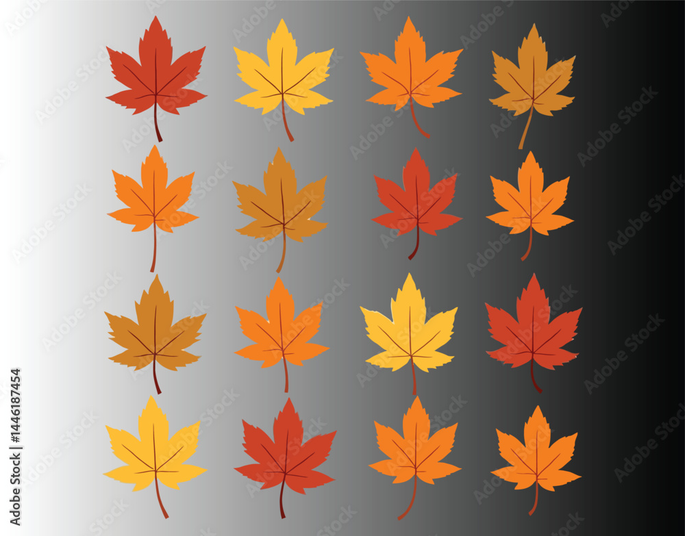 Obraz premium Vector Silhouettes of Fall Leaves and Hawthorn Berries