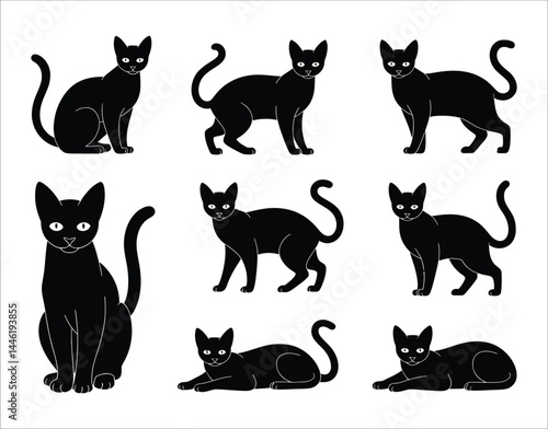 Ocicat Cat Silhouette Files – SVG, PNG, Vector Ready