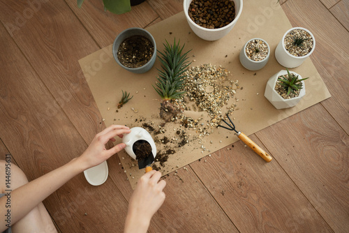 Haworthia Planting on Wooden Floor with Gardening Tools