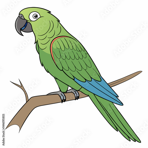 A vibrant vector illustration of an American pet parrot, showcasing its vivid green plumage and expressive features, ideal for wildlife and pet-themed designs.