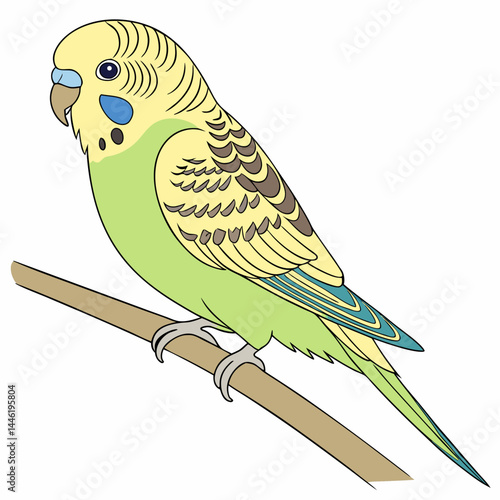 A vibrant vector illustration of an American budgerigar (budgie), showcasing its colorful plumage and playful character, ideal for pet-related designs and educational materials.