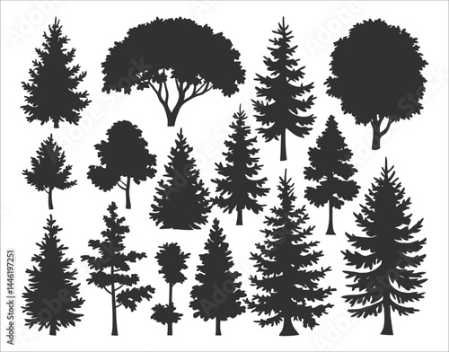 Artistic Ash Tree Line Art – Silhouette Edition