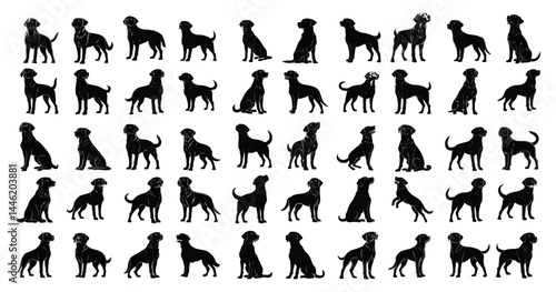 Set of collection Dog Labrador Retriever Isolated vector illustration editable