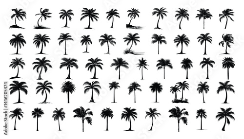 Set of collection tropical palm tree Isolated vector illustration editable