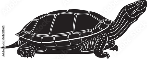 Eastern Long-necked Turtle Silhouette Vector Illustration