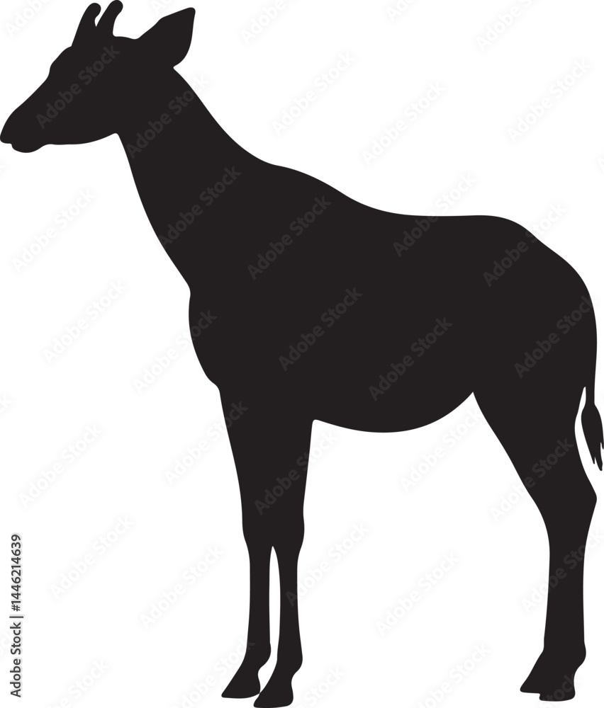Obraz premium Okapi Silhouette Vector Illustration