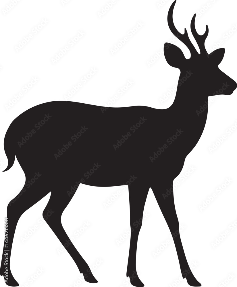 Fototapeta premium Sika Deer Silhouette Vector on White Background
