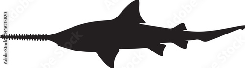 Sawfish Silhouette Vector on White Background