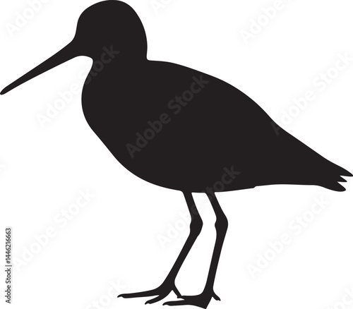Upland Sandpiper silhouette on white background