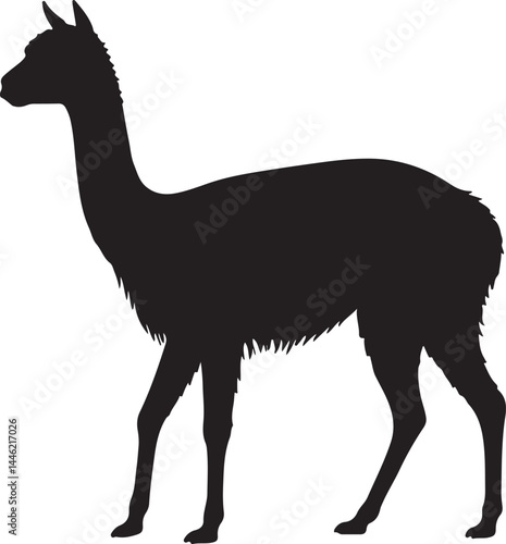 Vicuña silhouette on white background