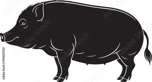 Vietnamese Pot-bellied Pig silhouette on white background
