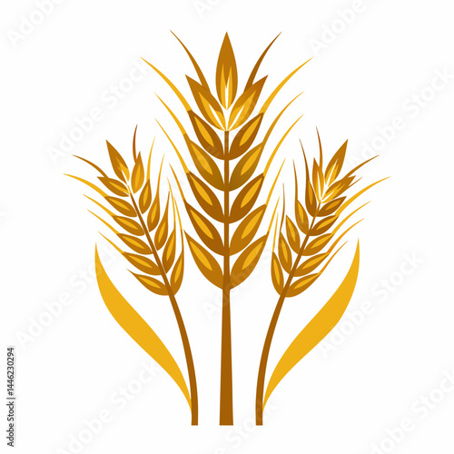 wheat isolated on white background