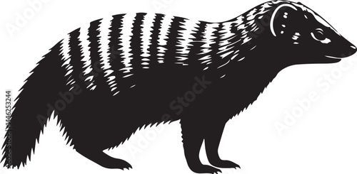 Banded Mongoose Vector Silhouette