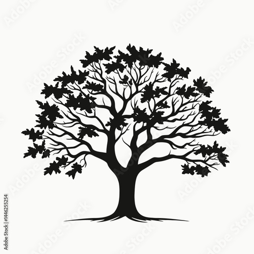 Tree silhouette vector illustration black and white nature design plant graphic drawing leaf branch forest park art