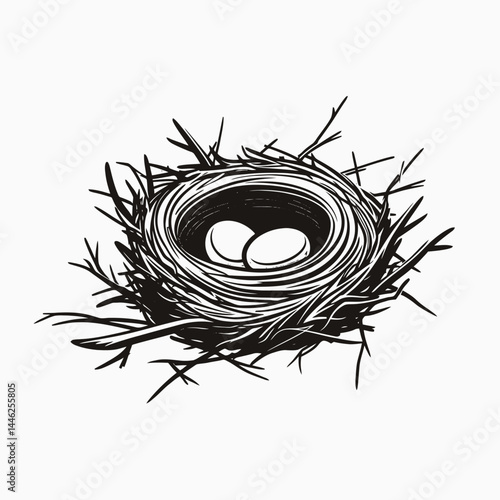 Nest eggs bird nest nature wildlife spring easter illustration animal avian branch twig artwork